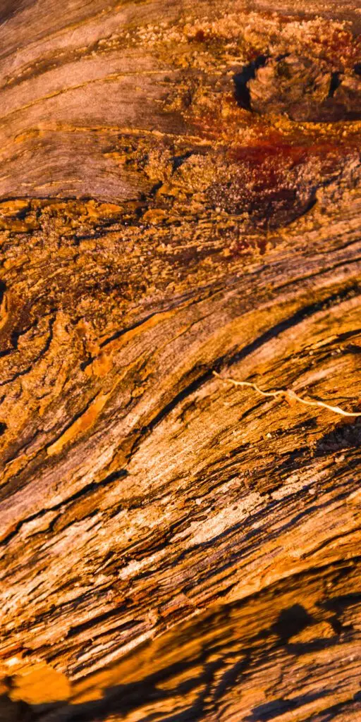 first coast property experts first coast property experts