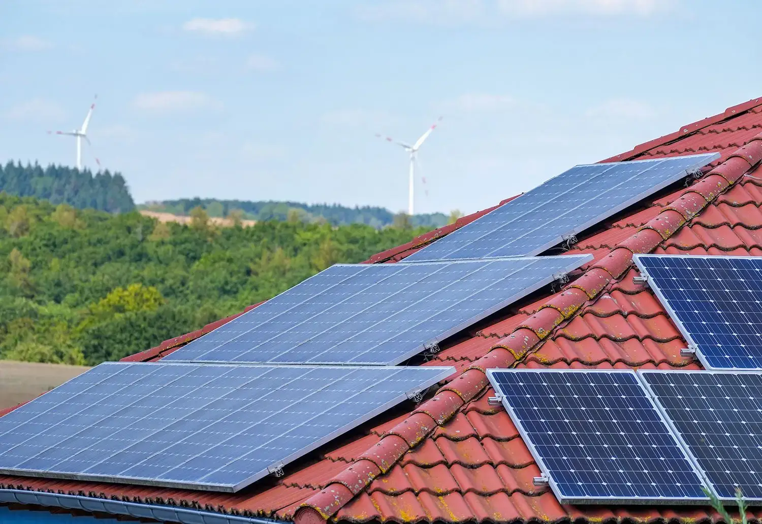 Solar panel cleaning detail