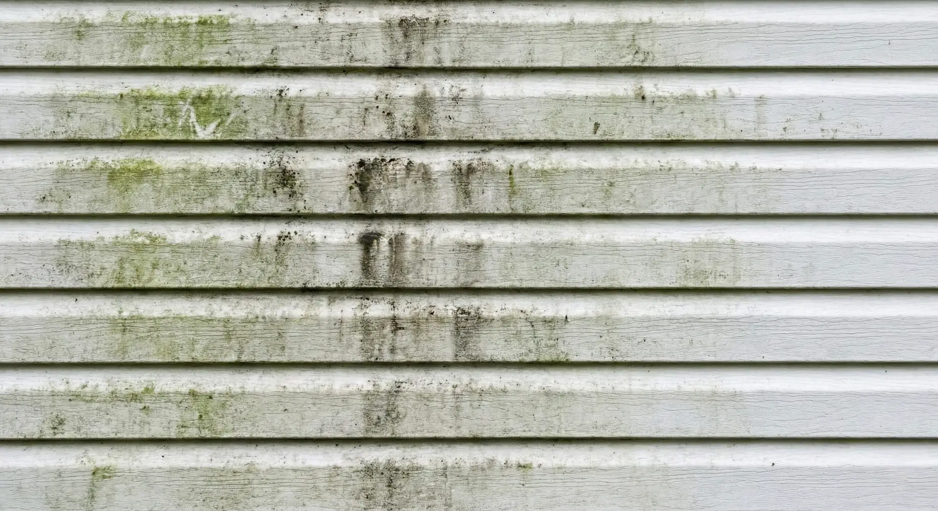 Vinyl siding before cleaning